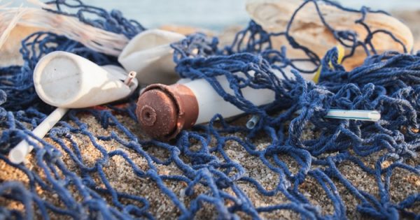 Alerte aux microplastiques : pour la première fois, on en trouve aussi dans le placenta humain Alerte aux microplastiques : pour la première fois, on en trouve aussi dans le placenta humain