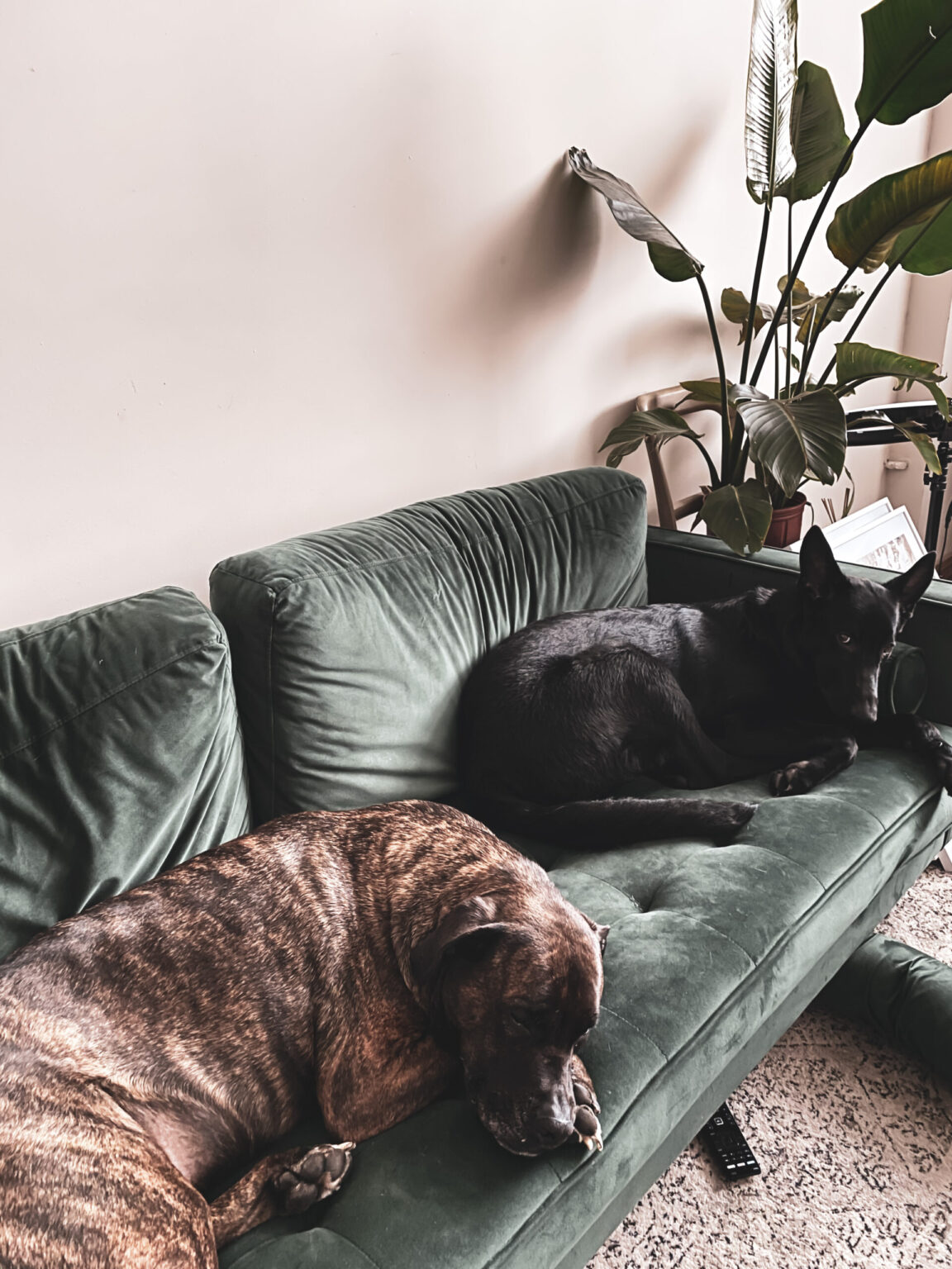 6 façons de rendre votre appartement plus grand et plus lumineux 6 façons de rendre votre appartement plus grand et plus lumineux