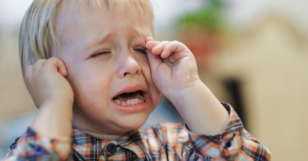 Comment apprendre aux enfants à se défendre contre des camarades plus forts ? Comment apprendre aux enfants à se défendre contre des camarades plus forts ?