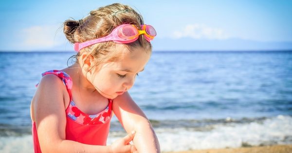 Danger des méduses : voici les premiers pansements à faire