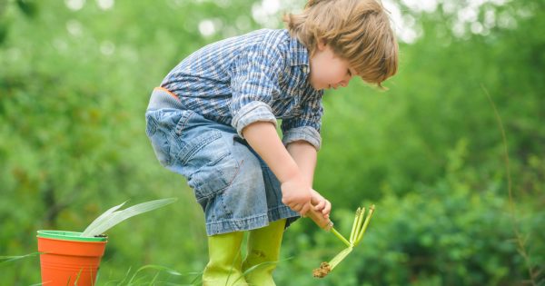 Les enfants et les légumes : apprenons aux plus petits à cultiver un potager !