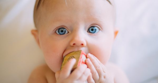 Mémoire de fer ? Il est formé au cours des premières années de la vie