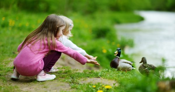 Que faire si votre enfant a peur des animaux ? Que faire si votre enfant a peur des animaux ?