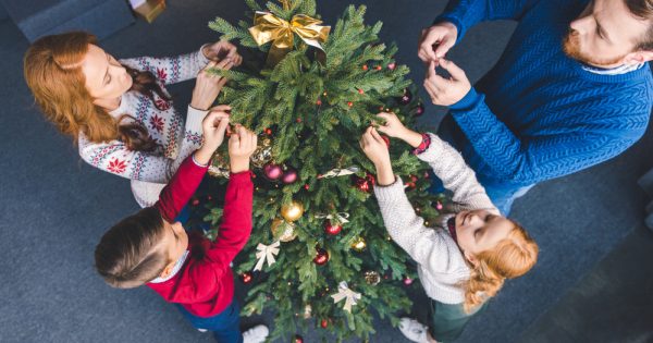 Un sapin de Noël en novembre : oui ou non ? Un sapin de Noël en novembre : oui ou non ?