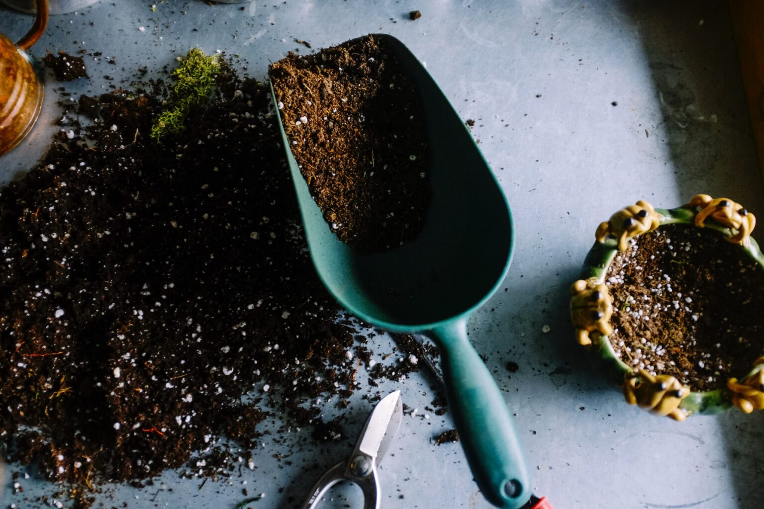 5 façons de cultiver un jardin incroyable 5 façons de cultiver un jardin incroyable