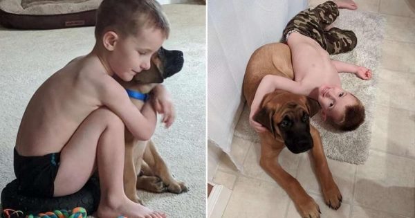 Enfants et animaux : rencontrez Dash, le chien qui se fait punir avec son maître Enfants et animaux : rencontrez Dash, le chien qui se fait punir avec son maître