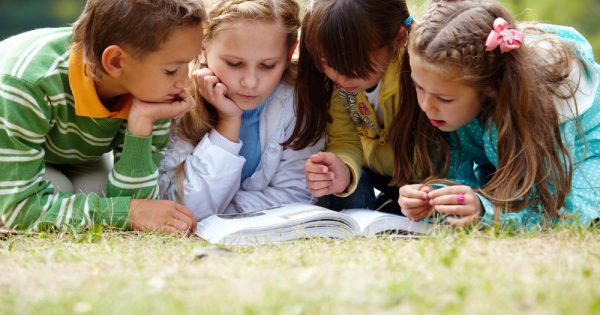École : éducation à l'environnement avec arrivée du bulletin scolaire à l'école primaire