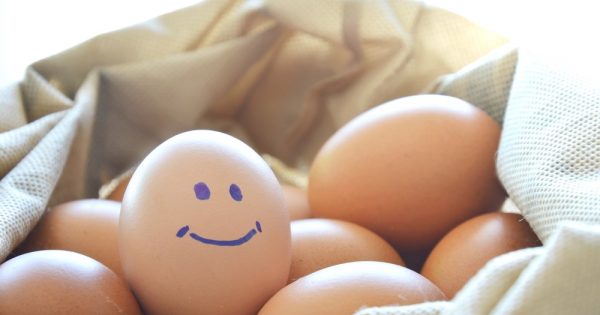 Les enfants sont allergiques aux œufs ? Les gâteaux et les biscuits peuvent aider à la neutraliser.