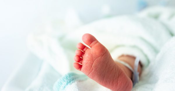 Test ADN erroné : c’est une fille mais ils s’en rendent compte 6 heures après l’accouchement Test ADN erroné : c'est une fille mais ils s'en rendent compte 6 heures après l'accouchement