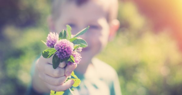 Travailler sur la générosité des enfants pour contrer le matérialisme