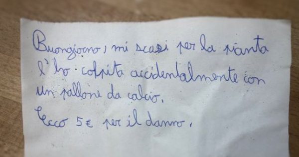 Un enfant de onze ans endommage la plante de son voisin avec un ballon de football, mais son message d'excuses devient viral.