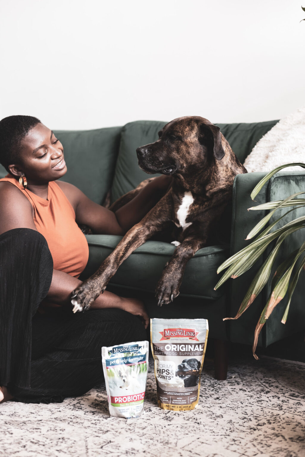 Garder Humphrey en bonne santé avec le chaînon manquant theurbanrealist the missing link