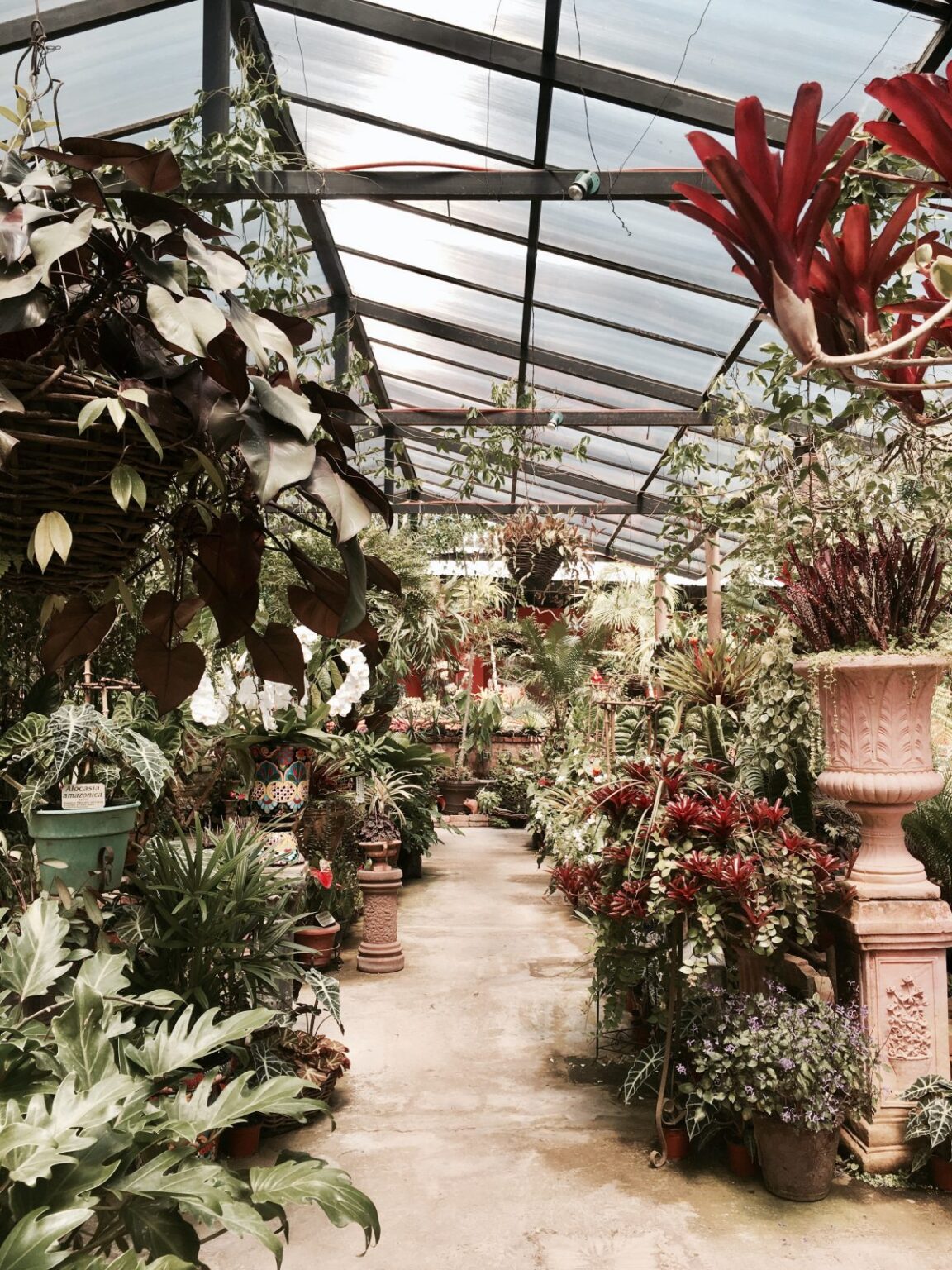 Comment un jardin somptueux peut rehausser l’ensemble de votre propriété Comment un jardin somptueux peut rehausser l'ensemble de votre propriété