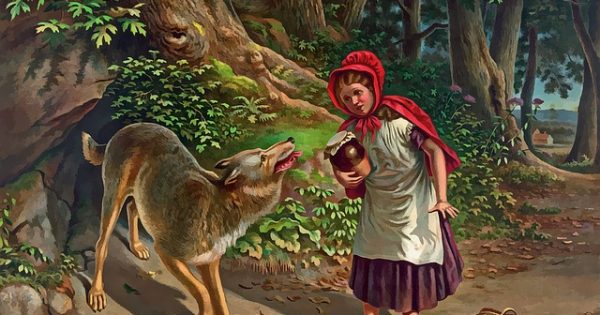 Le Petit Chaperon rouge et la Belle au bois dormant bannis des écoles maternelles : ce sont des contes de fées sexistes