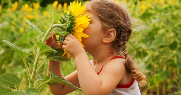 Le développement cognitif et le contact avec la nature sont un