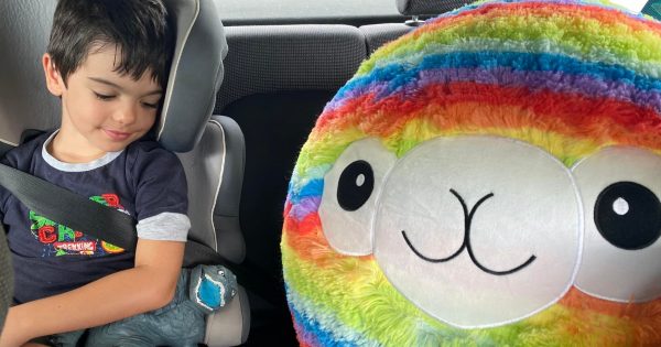 Un enfant gagne la marionnette qu'il désirait tant : l'histoire de Denny et Vittorio