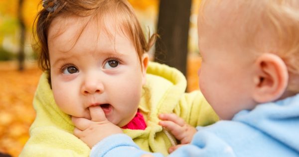 Un enfant mord d'autres enfants : que faire ?