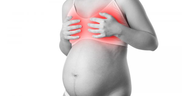Qu’arrive-t-il aux mamelons pendant la grossesse ? Qu'arrive-t-il aux mamelons pendant la grossesse ?