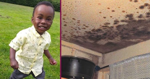 Un enfant de 2 ans meurt après avoir inhalé des moisissures : une tragédie qui aurait pu être évitée
