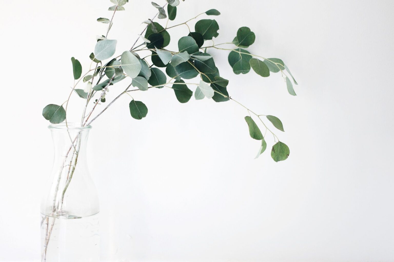 14 façons de rendre votre maison aussi heureuse et saine que possible ways to make your home as happy and healthy as possible
