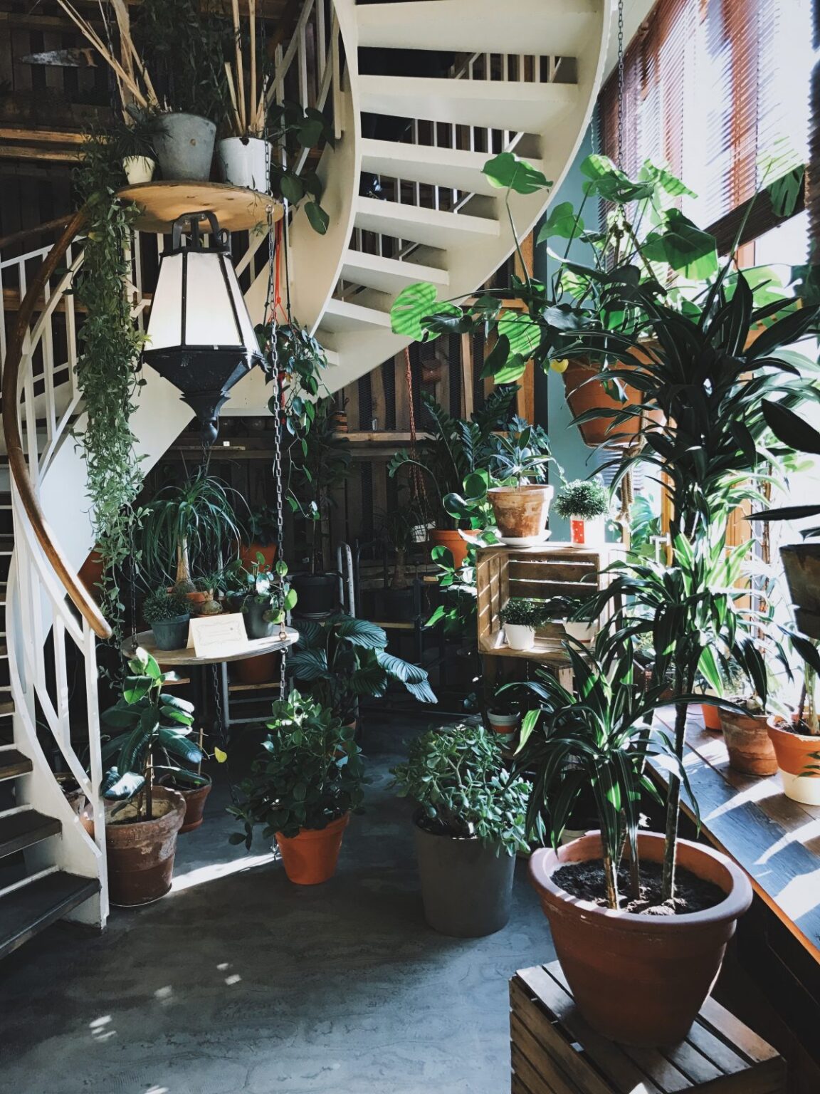 5 façons de préparer votre jardin pour l’été tips to get your garden summer ready