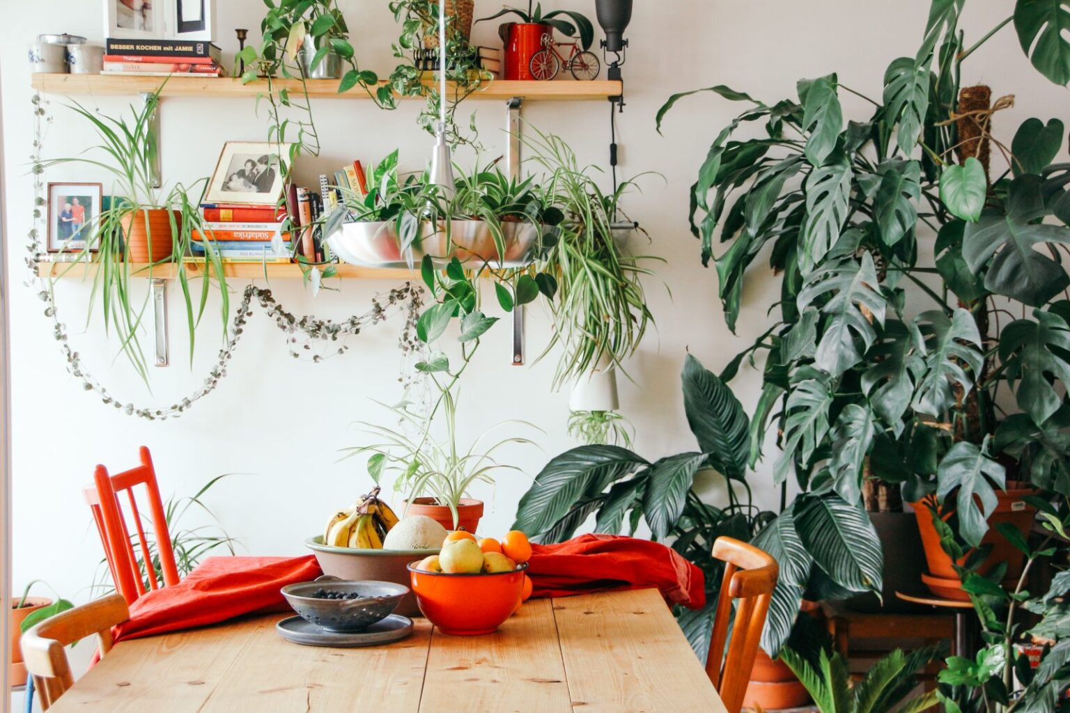 Conseils pour faire entrer les tropiques dans votre maison CORT Furniture