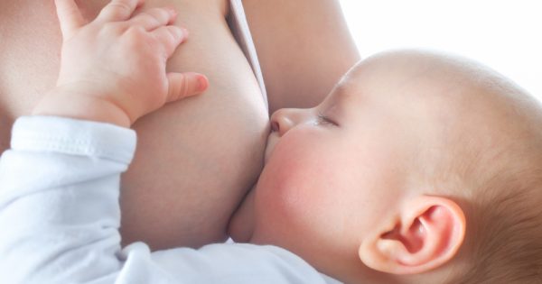 Le lait maternel : une couverture pour protéger le nouveau-né Le lait maternel : une couverture pour protéger le nouveau-né