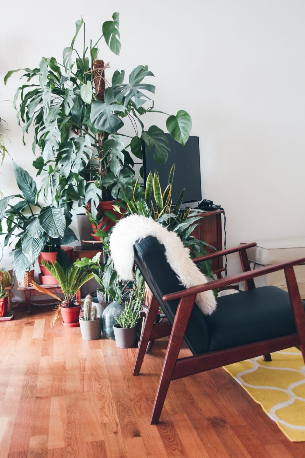 Mises à jour de la maison qui vous faciliteront la vie home renovation