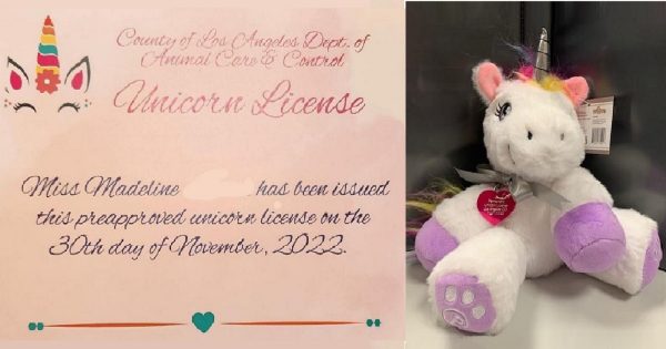 Un permis spécial pour posséder une licorne : une petite fille de Los Angeles l'obtient