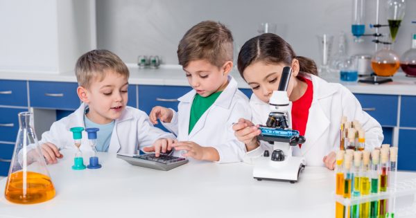 La science enseignée à l'école maternelle : la beauté de la vie transmise aux petits