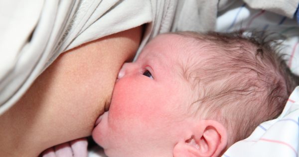 Le lait maternel aide le cœur des enfants prématurés