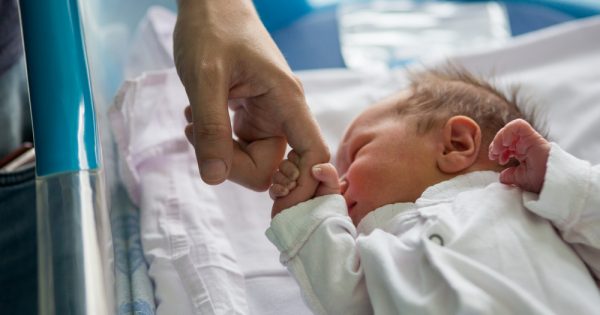 La colocation : ce que c’est, comment ça marche et pourquoi c’est important La colocation : ce que c'est, comment ça marche et pourquoi c'est important