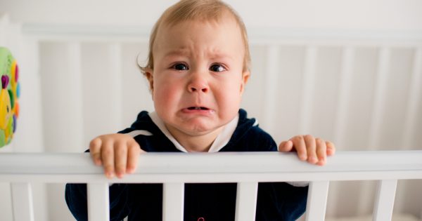 Bébés en demande d’attention : faut-il les tenir à l’écart ? Bébés en demande d'attention : faut-il les tenir à l'écart ?