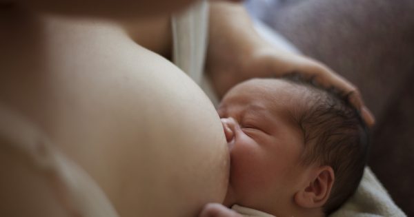 Mastite, causes et remèdes