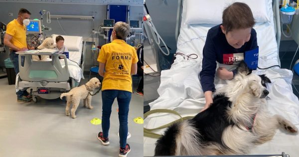 Une fillette de 11 ans surmonte le mutisme sélectif grâce à la zoothérapie