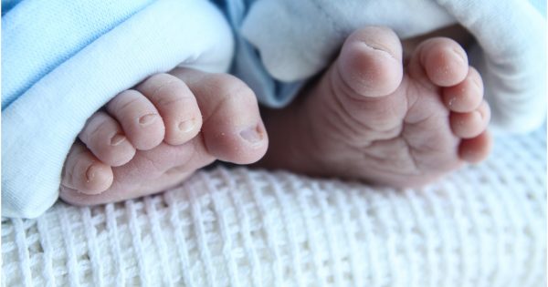 Le petit Énée et le berceau pour la vie : un choix anonyme sous les feux de la rampe