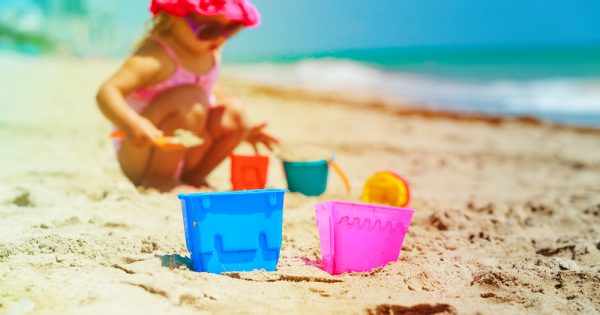 Pas de seaux ni de filets sur la plage : l'ENPA lance un appel pour protéger les animaux marins