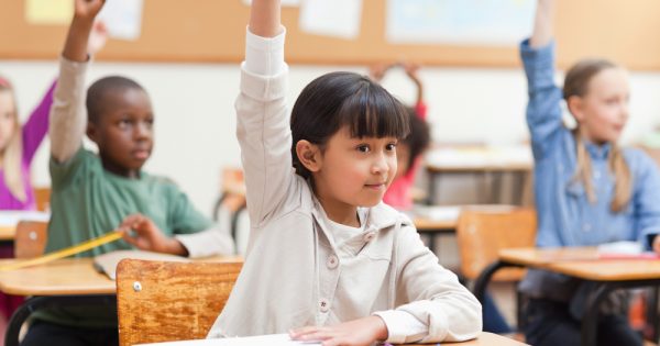 Une école de plus en plus multiethnique, plus de 20 % d'élèves d'origine étrangère : toutes les données