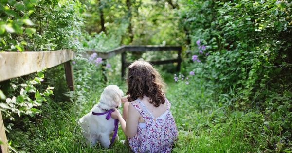 Chiens et enfants : conseils pour une cohabitation en toute sécurité