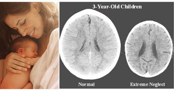 Comment l'amour d'une mère affecte le cerveau du bébé