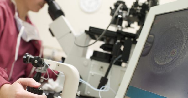 Procréation assistée : pour la Cour constitutionnelle, le consentement de l'homme ne peut être révoqué