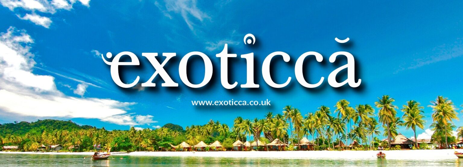 Bienvenue sur le blog d’Exoticca ! Bienvenue sur le blog d'Exoticca !