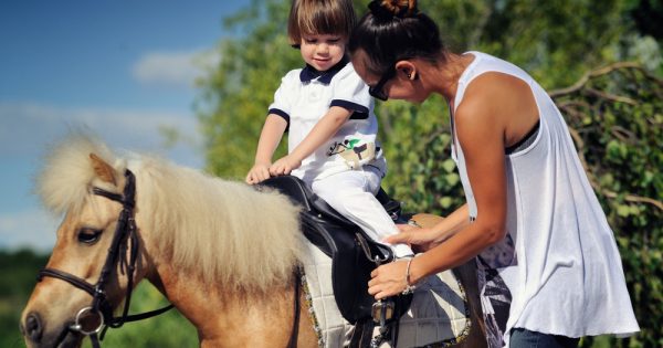 Paris : arrêt des promenades à poney avec les enfants