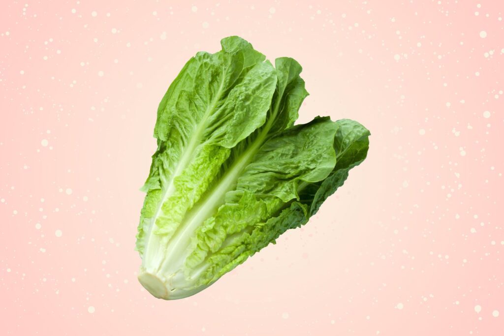 Peut-on manger de la laitue romaine en toute sécurité ? Peut-on manger de la laitue romaine en toute sécurité ?