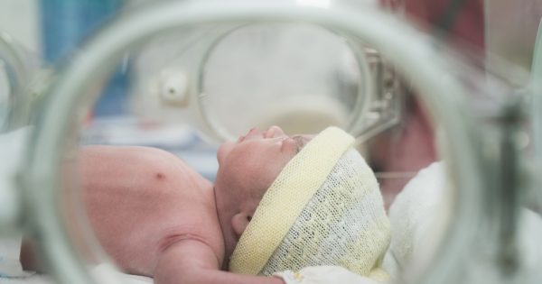 Prématurés : une webcam pour renforcer le lien avec les parents