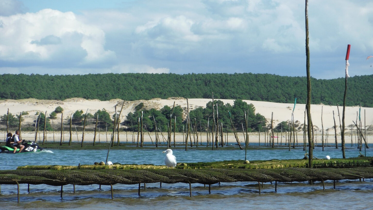 Optez pour un séjour inoubliable en camping à Arcachon