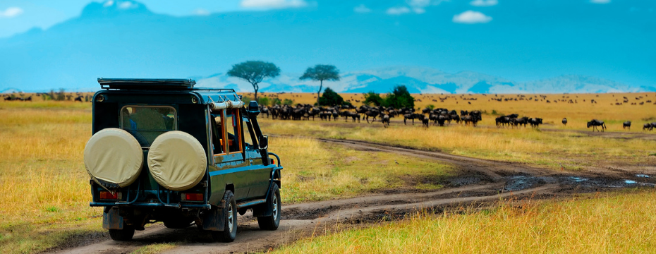 Best African safaris and wildlife tourss
