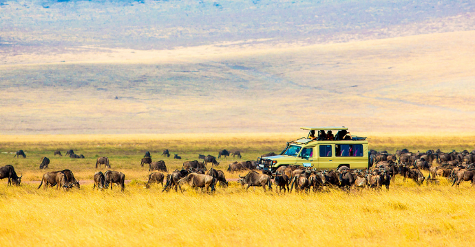 La Tanzanie : les meilleurs lieux de vacances pour les couples