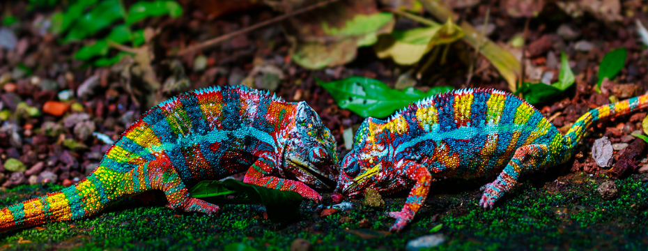 Exotic holiday destinations