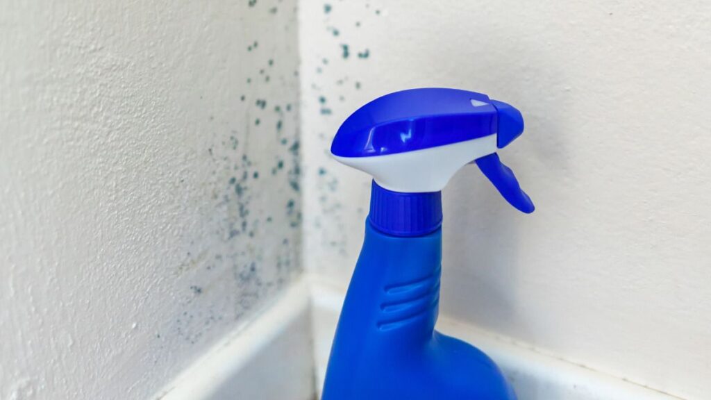 Comment nettoyer la moisissure à la maison en toute sécurité et l’empêcher de revenir Cómo limpiar el moho en casa de forma segura y evitar que vuelva a salir